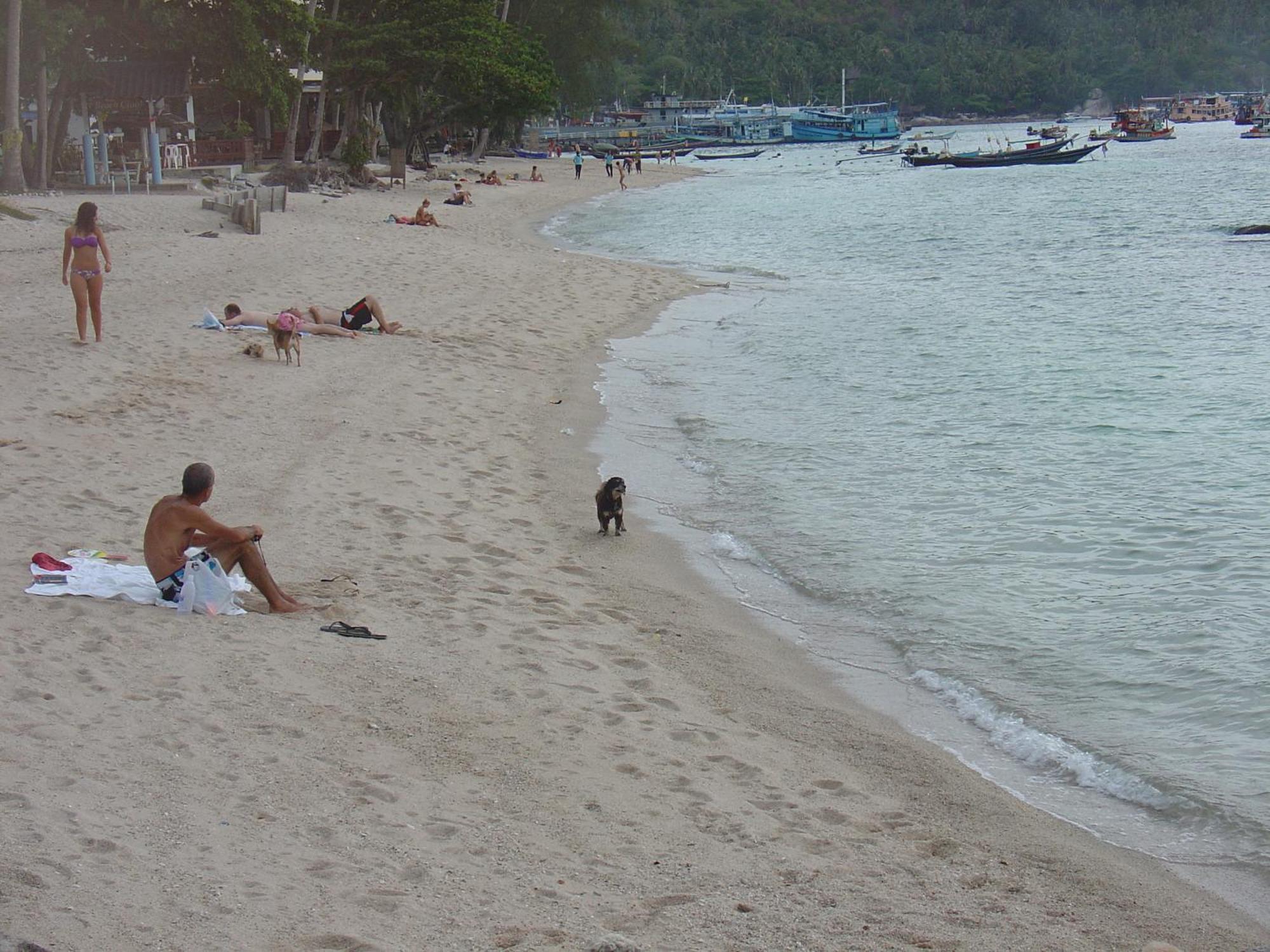 Queen Resort Ko Tao Buitenkant foto